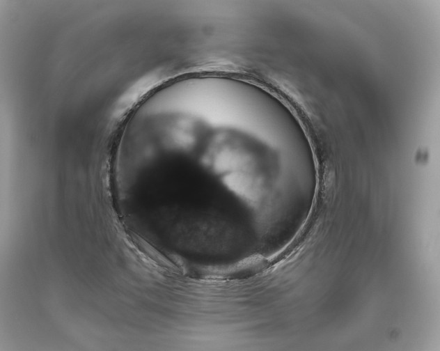 X0000093461455200710261010