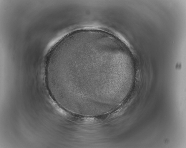 X0000093461456200710261010