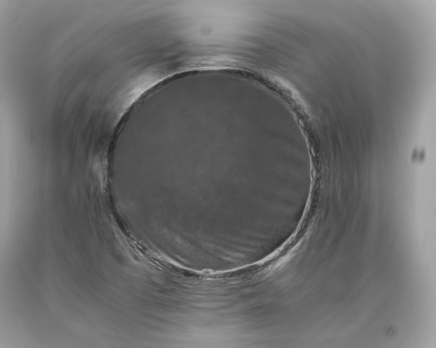 X0000093461457200710261010