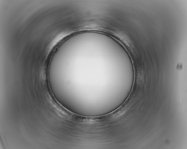 X0000093461458200710261010