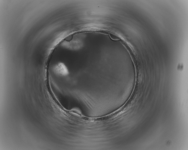 X0000093461459200710261010