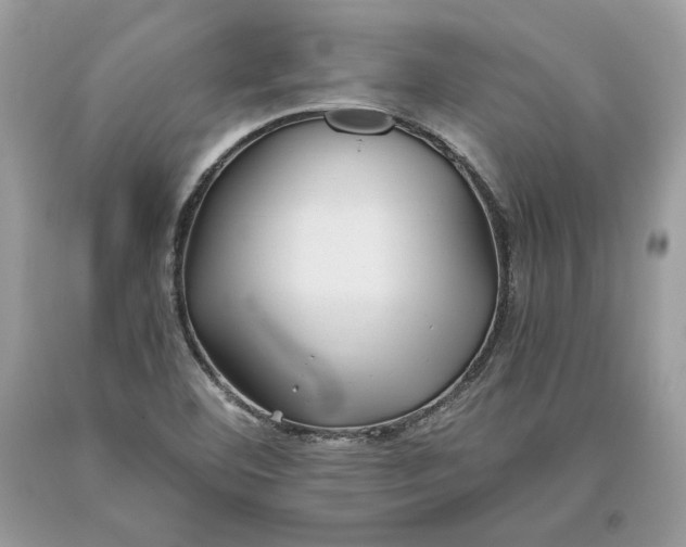 X0000093461460200710261010