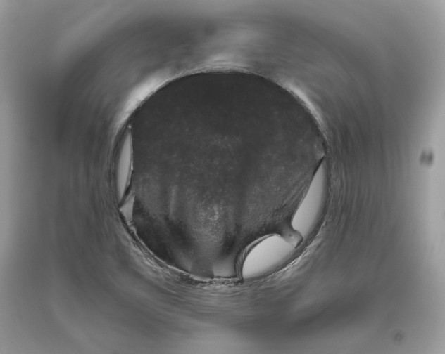 X0000093461461200710261010