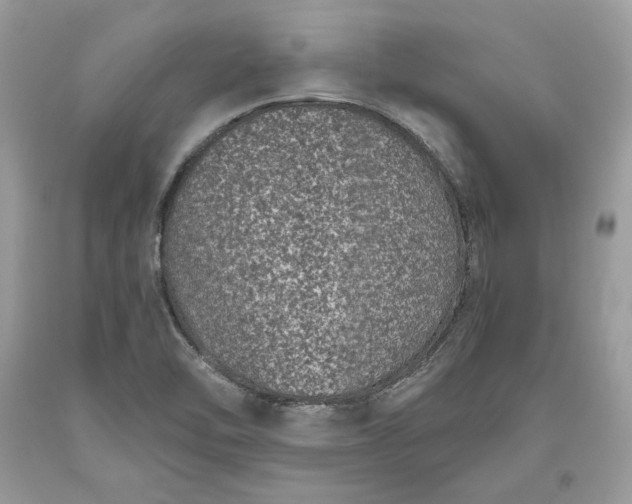 X0000093461462200710261010