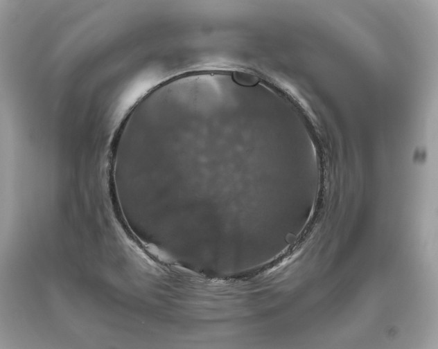 X0000093461463200710261010