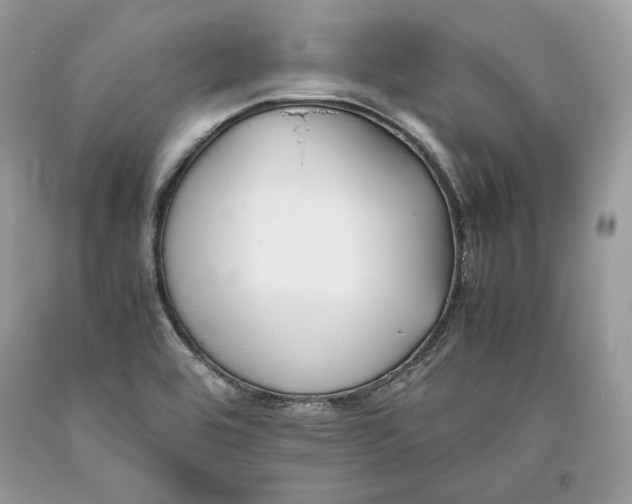 X0000093461464200710261010