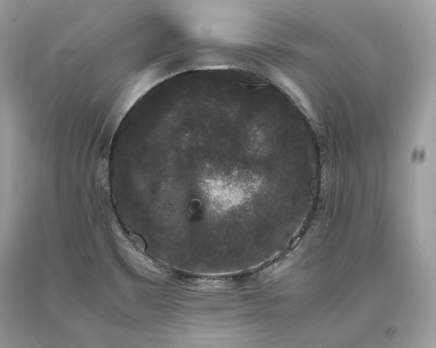 X0000093461465200710261010