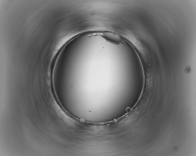 X0000093461468200710261010