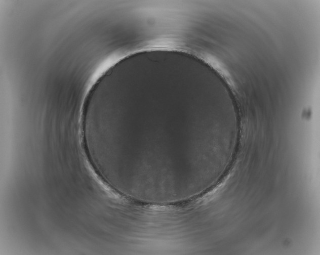 X0000093461469200710261010