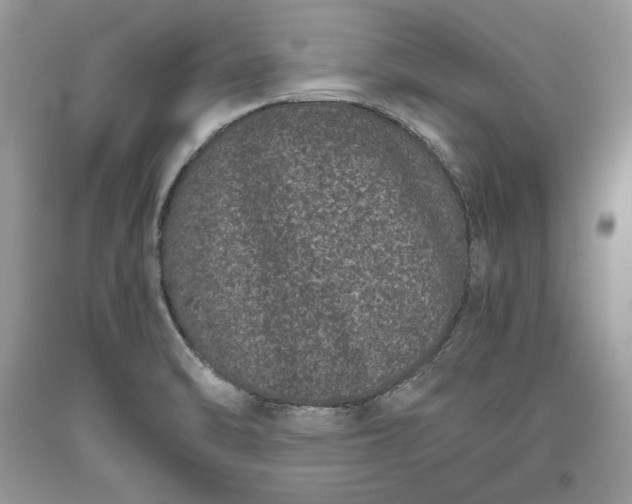 X0000093461470200710261010