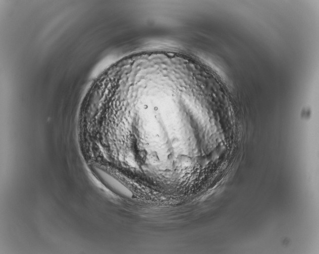 X0000093461471200710261010