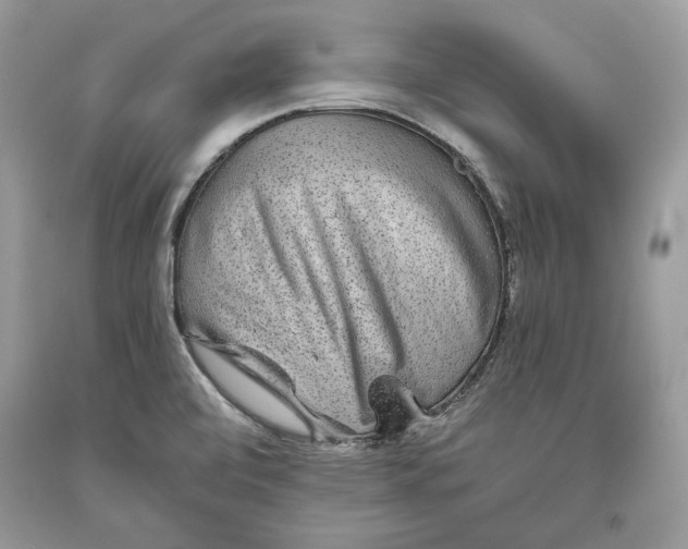 X0000093461472200710261010