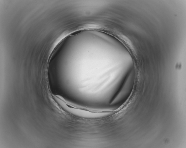 X0000093461473200710261010