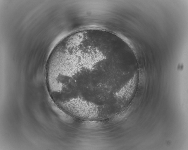 X0000093461474200710261010