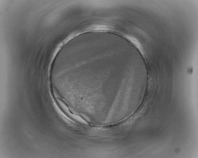 X0000093461475200710261010