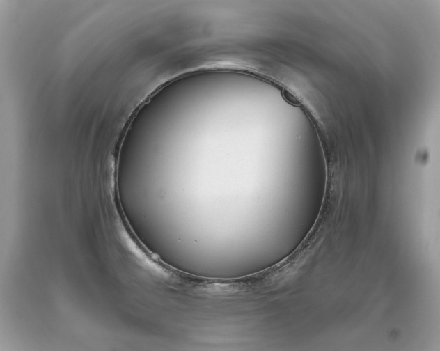 X0000093461476200710261010