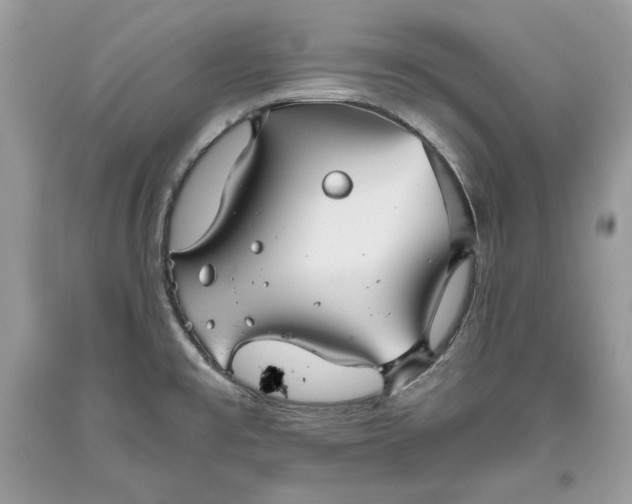 X0000093461477200710261010