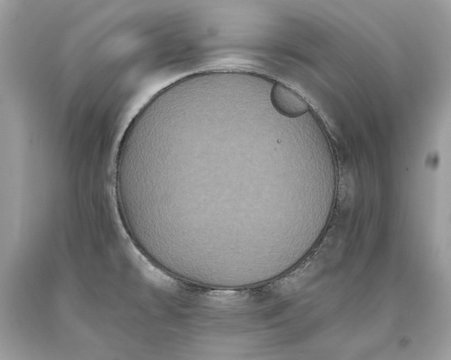 X0000093461478200710261010