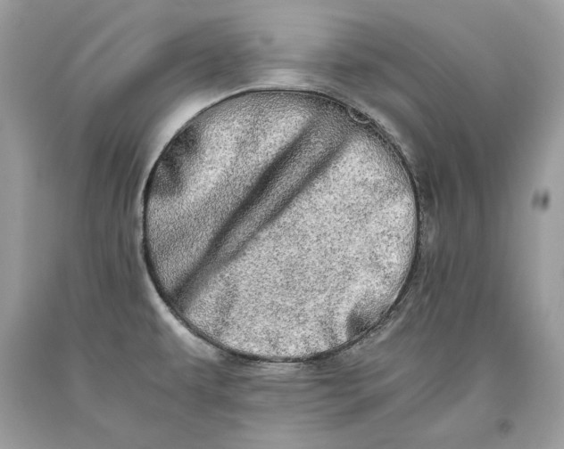 X0000093461479200710261010