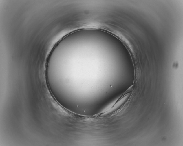 X0000093461480200710261010