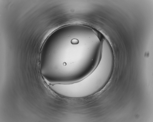 X0000093461481200710261010