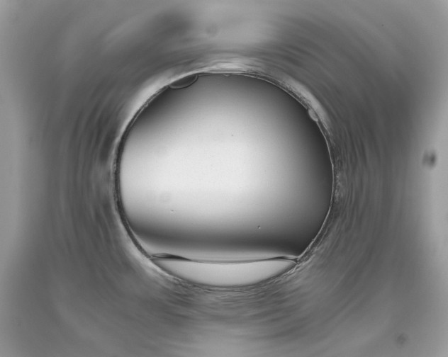 X0000093461483200710261010