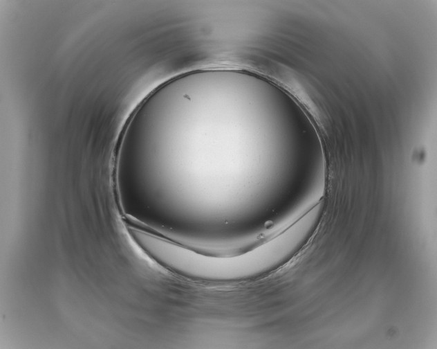 X0000093461484200710261010