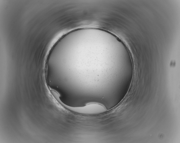 X0000093461488200710261010