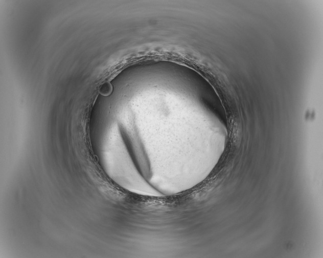 X0000093461489200710261009