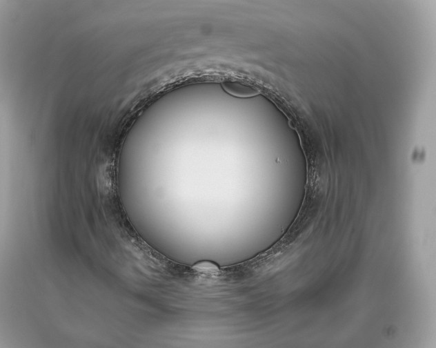 X0000093461490200710261009