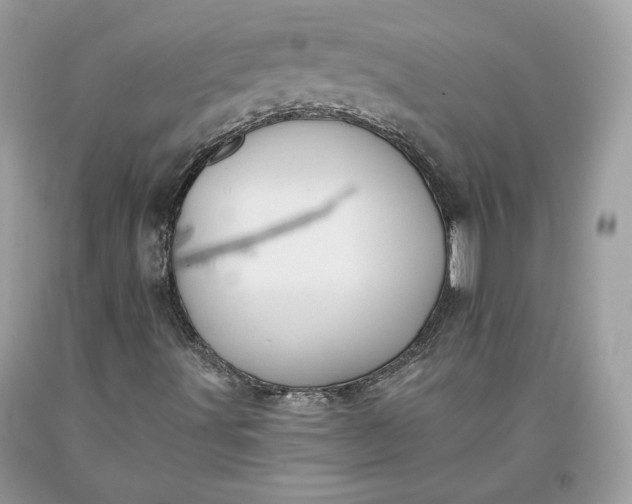 X0000093461491200710261009