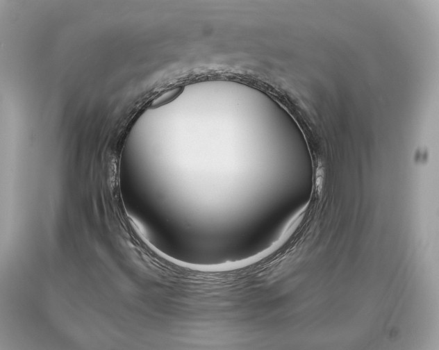 X0000093461492200710261009