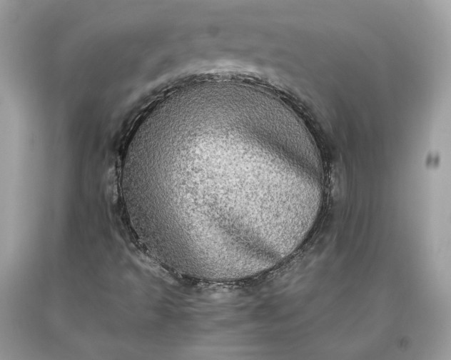 X0000093461493200710261009