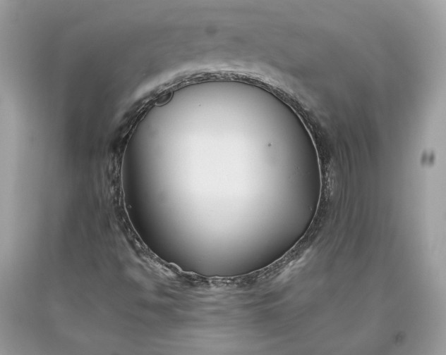 X0000093461494200710261009