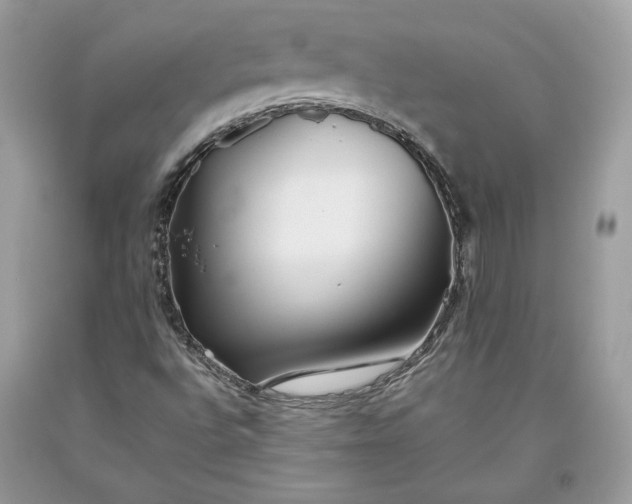 X0000093461496200710261009