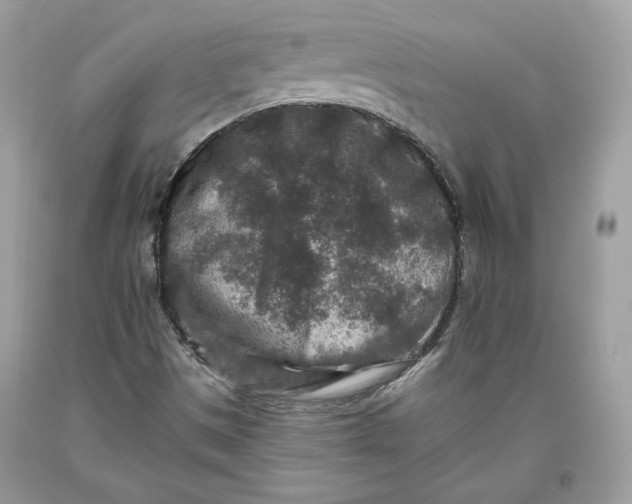 X0000093461497200710261009