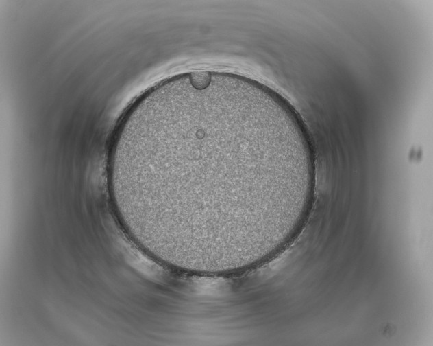 X0000093461498200710261009