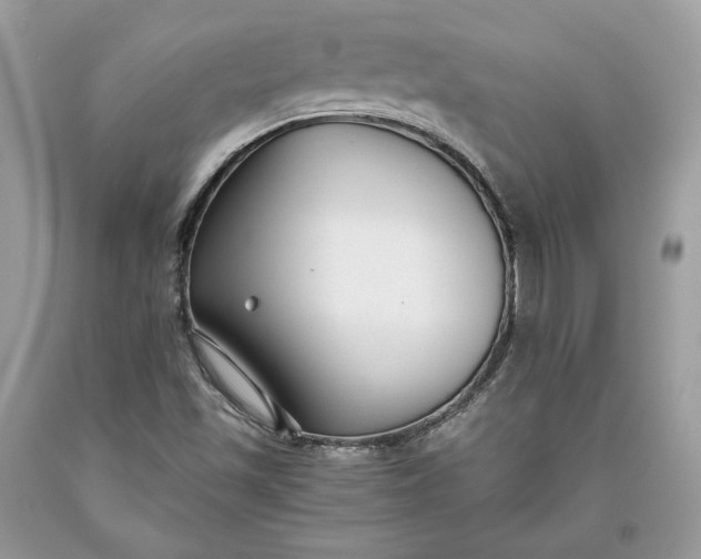 X0000093461501200710261009