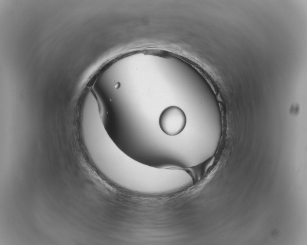 X0000093461502200710261009