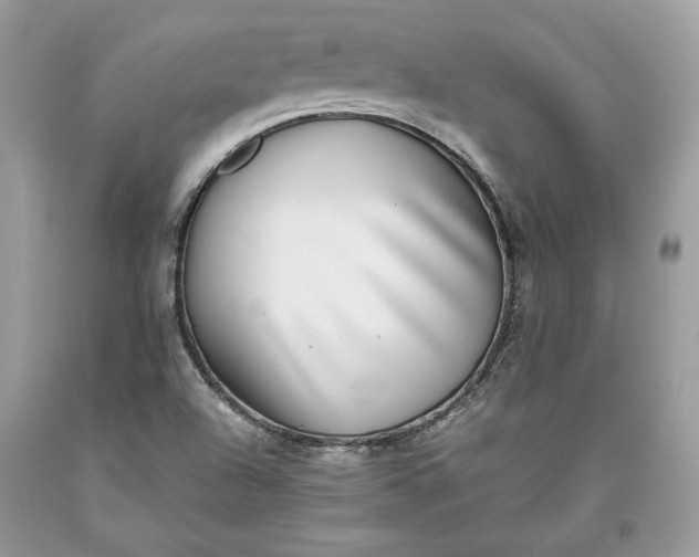 X0000093461504200710261009