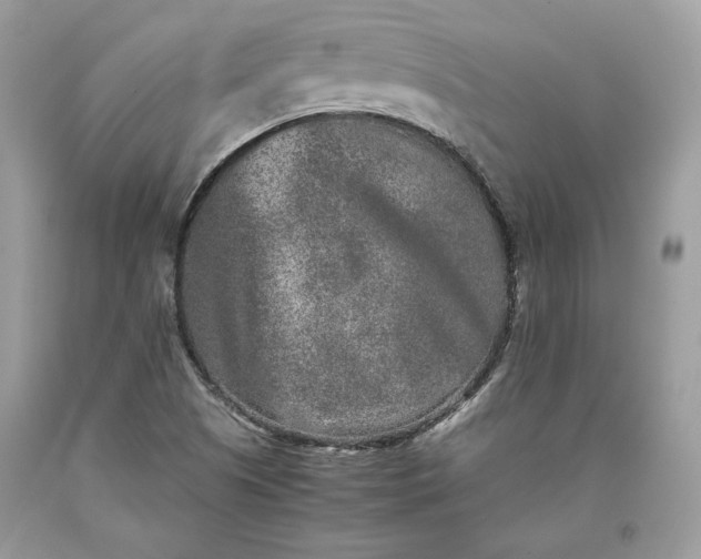 X0000093461505200710261009