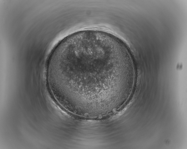 X0000093461506200710261009