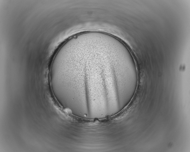 X0000093461507200710261009