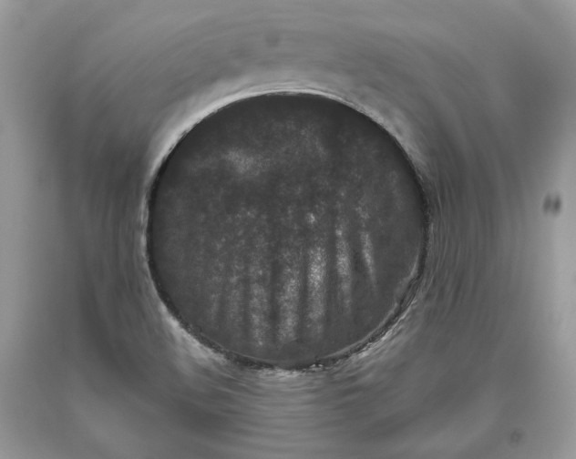 X0000093461508200710261009