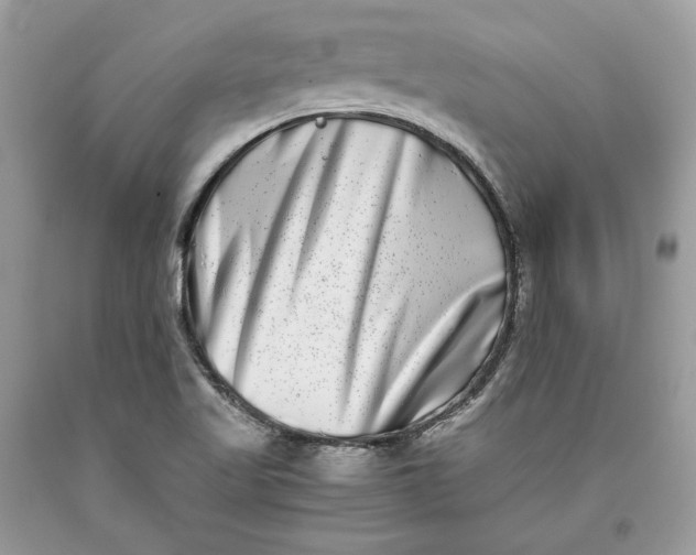 X0000093461509200710261009