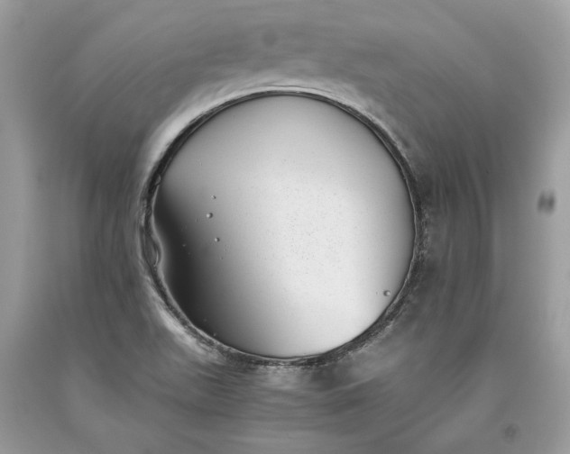 X0000093461511200710261009