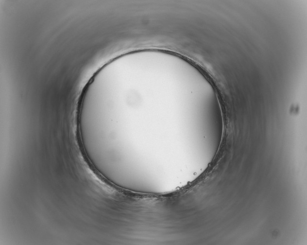 X0000093461512200710261009