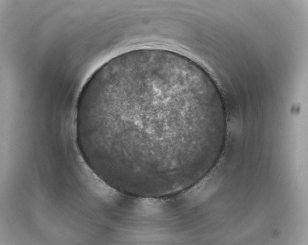 X0000093461514200710261009