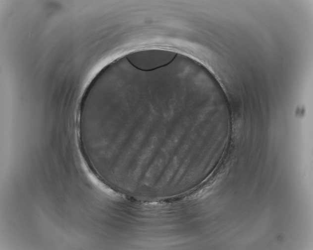 X0000093461515200710261009