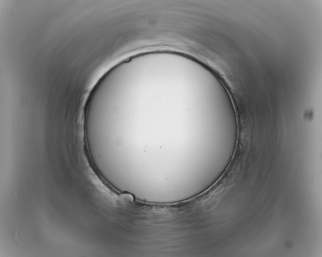 X0000093461516200710261009